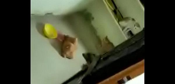 Swathi naidu enjoying with cats in home
